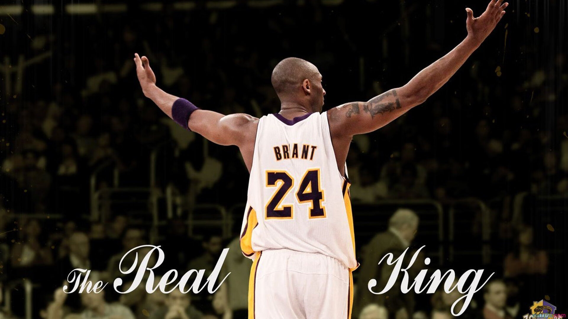 球迷文化的力量,从看台到社区,体育精神如何凝聚人心